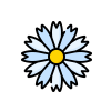 Chamomile