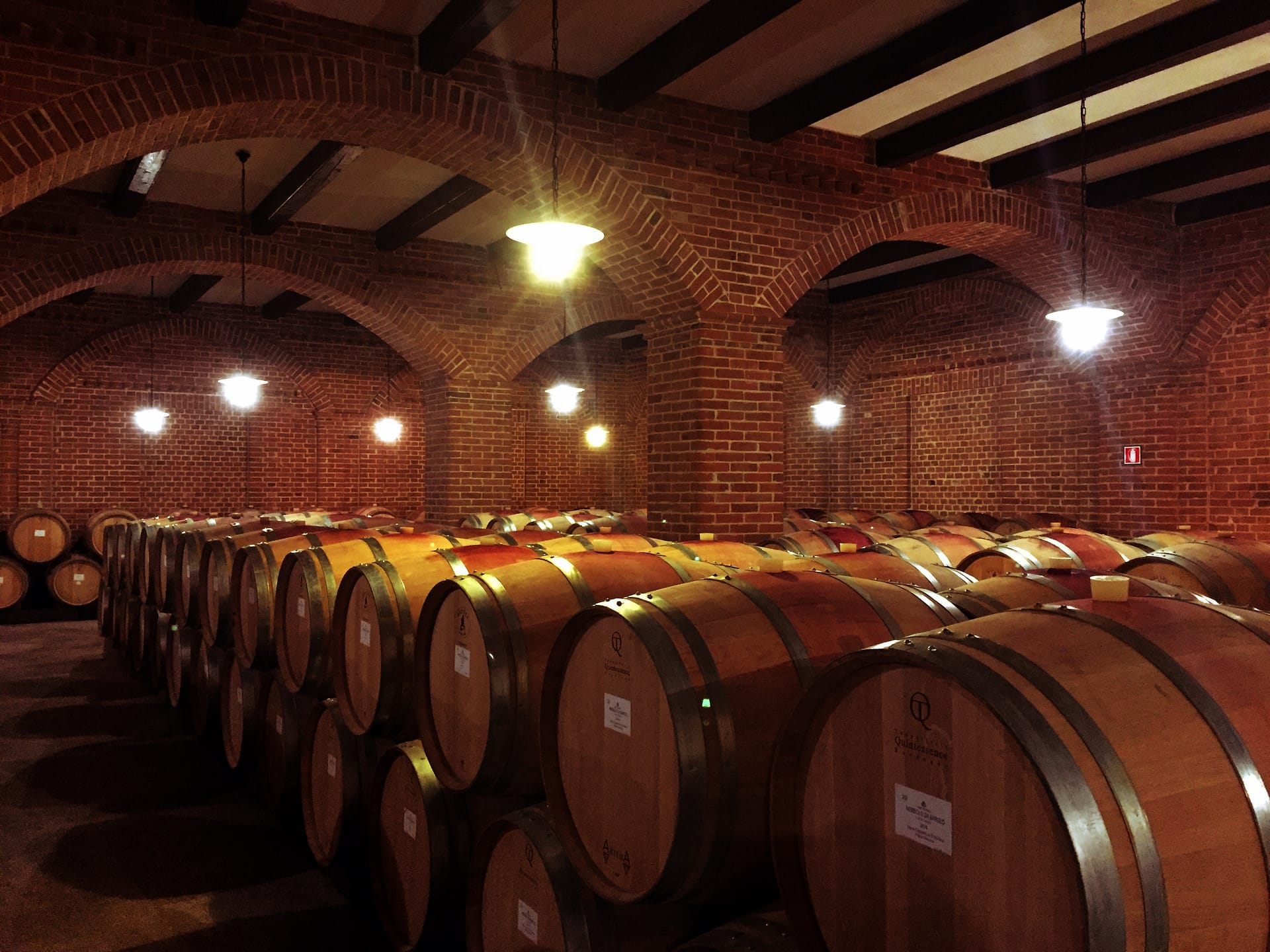 Barolo wine cellar in Piemonte